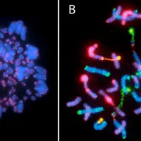 Основы генетики