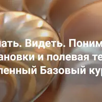 Делать. Видеть. Понимать. Расстановки и полевая терапия. Базовый курс