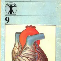 Что физиологи знают про еду? Как устроены исследования питания