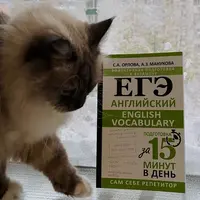 Комплект ЕГЭ English Vocabulary + весь открытый банк заданий ЕГЭ от ФИПИ