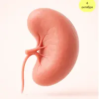 ЖКТ не только про здоровье. ЖКТ про Жизнь. Модуль 1: Селезёнка - мать всех органов