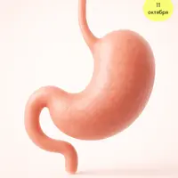 ЖКТ не только про здоровье. ЖКТ про Жизнь. 2 модуль. Желудок — ворота энергии