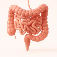 ЖКТ про Жизнь. Модуль 6: Кишечник - вторая вселенная внутри нас