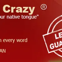 Learning Italian Like Crazy