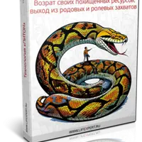Технология «Питон». Возврат своих похищенных ресурсов, выход из родовых и ролевых захватов