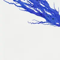 Сила воли. Полный тренинг