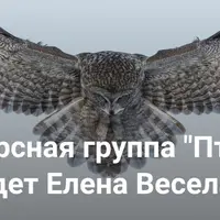 Ресурсная группа "Птица". Получение помощи предков
