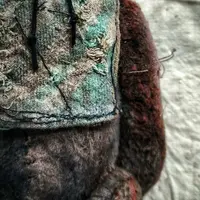 Тедди Федор