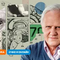 Мозг как архитектор реальности. Сможем ли мы отличить реальный мир от мира, созданного нейросетью