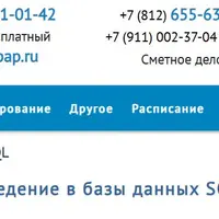 Введение в базы данных SQL (2025)