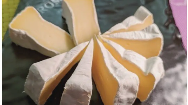 Камамбер смешанного типа: технология, разработанная в научных исследованиях