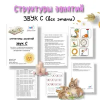 Структуры занятий. Звук С