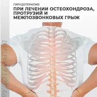 Гирудотерапия при лечении остеохондроза, протрузий и межпозвонковых грыж