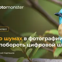 Всё о шумах в фотографии. Как побороть цифровой шум