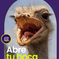 Abre tu boca. Курс по фонетике испанского