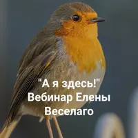 А я здесь! Вебинар о причинах "невозможности жить" и процессах возвращения к жизни