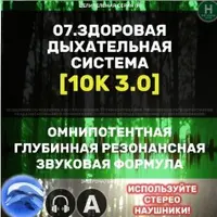 Дыхательная Система 3.0