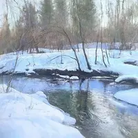 Зимний берег