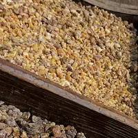 Смолистые сокровища: ладан, мирра, лабданум