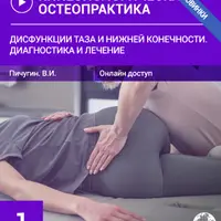 Дисфункции таза и нижней конечности. Диагностика и лечение