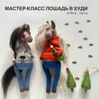 Лошадь в худи