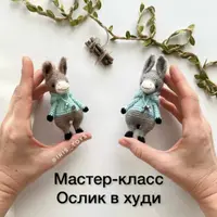 Ослик в худи