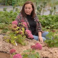 Интенсив по культурам для Бизнеса. Модель питомника на одной культуре: Гортензия