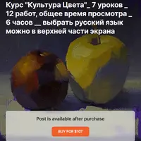 Культура Цвета