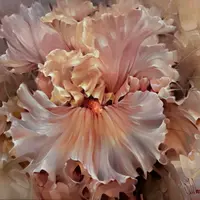 Нежное на бронзовом