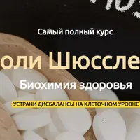 Соли Шюсслера: биохимия здоровья. Базовый курс