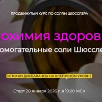 Биохимия здоровья. Вспомогательные соли Шюсслера. Продвинутый курс