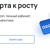 Ozon: от старта к росту