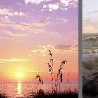 Море маслом