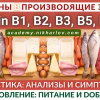 Витамины группы B, производящие энергию: B1, B2, B3, B5, B6, B7