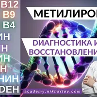 Витамины B9, B12, B4 и др. в Метилировании