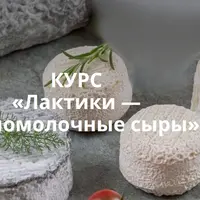 Лактики — кисломолочные сыры