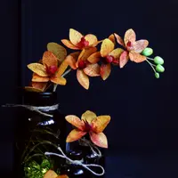 Вафельная флористика