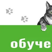 Машинное обучение в Python. Подписка на контент (март 2026)