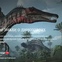 То, что вы не знали о динозаврах