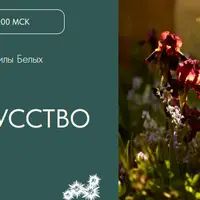 Сады как искусство