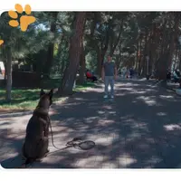 Выдержка и фиксация позиций