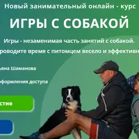 Игры с собакой
