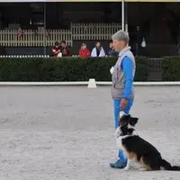 Спортивное послушание