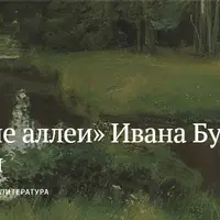 Тёмные аллеи Ивана Бунина с комментариями
