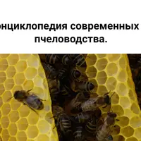 Видеоэнциклопедия современных систем пчеловодства