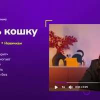 Как понимать кошку