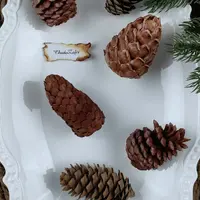 Зефирная флористика