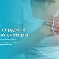 Здоровье сердечно-сосудистой системы