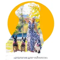 Этология собак для чайников