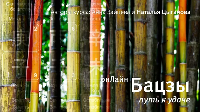 Бацзы ОнЛайн: путь к удаче. Модуль 2
